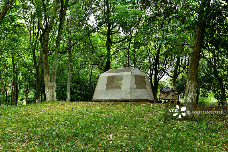 绿色树林帐篷图片素材