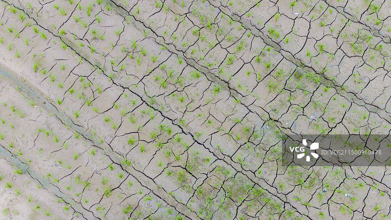 广东开平碉楼图片素材