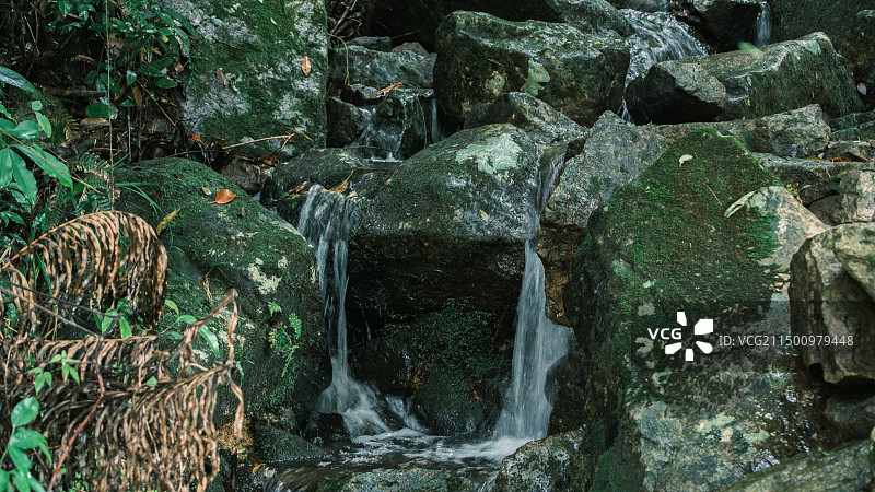 赣州市三百山景区图片素材