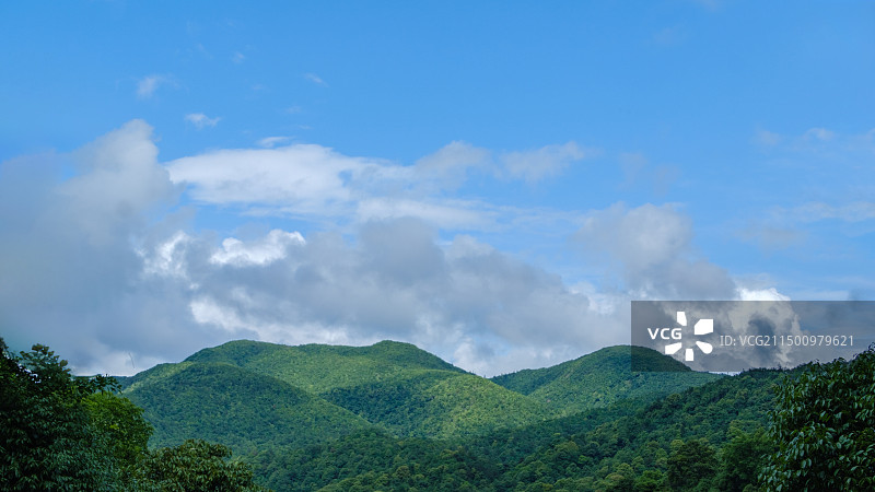赣州市三百山景区图片素材