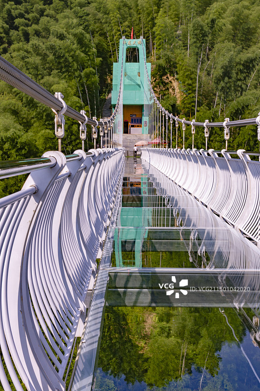 黄山木坑竹海景区图片素材