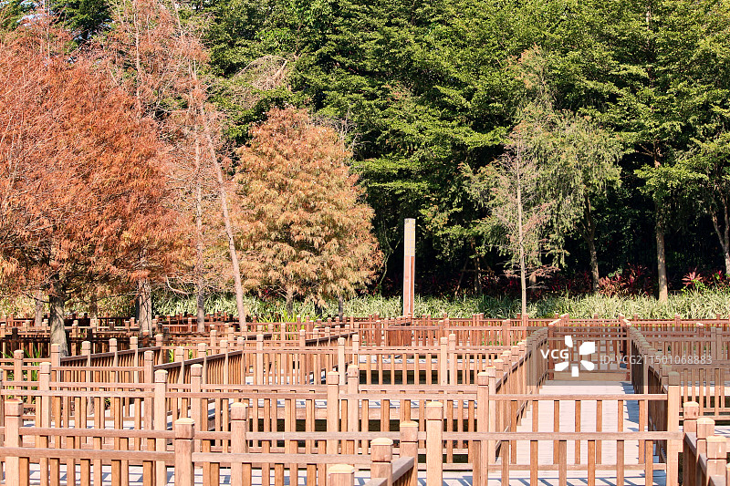 初秋的厦门五缘湾湿地公园迷宫图片素材