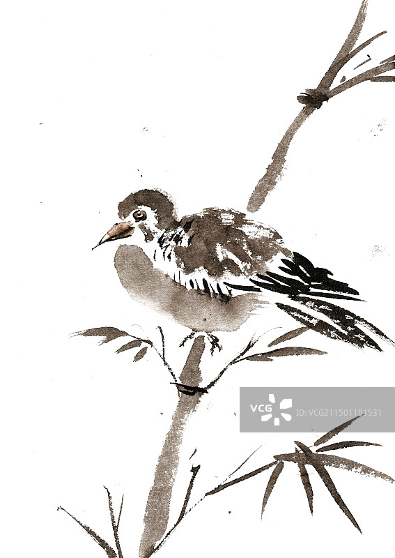 竹枝上的小鸟图片素材