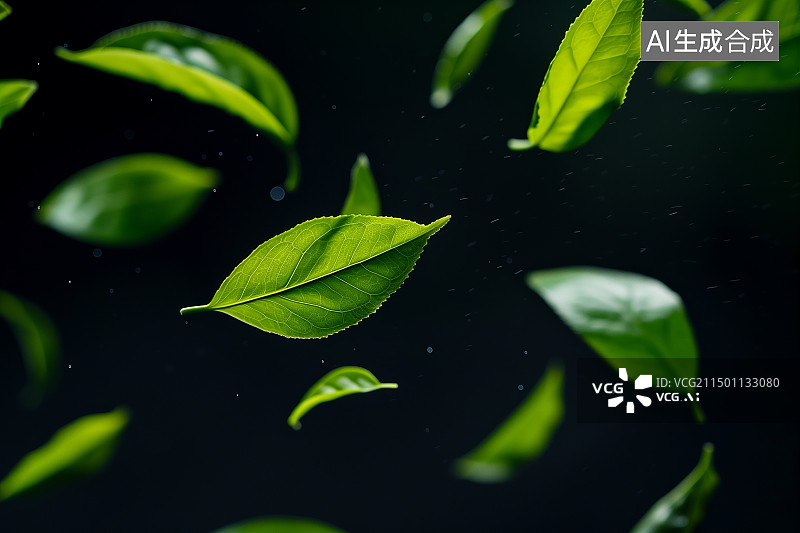 【AI数字艺术】黑色背景上的飘落的茶叶图片素材