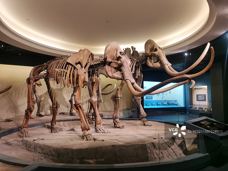 大庆博物馆景区图片素材