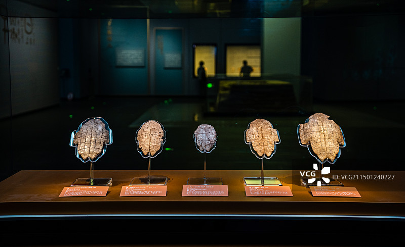 殷墟博物馆甲骨文图片素材