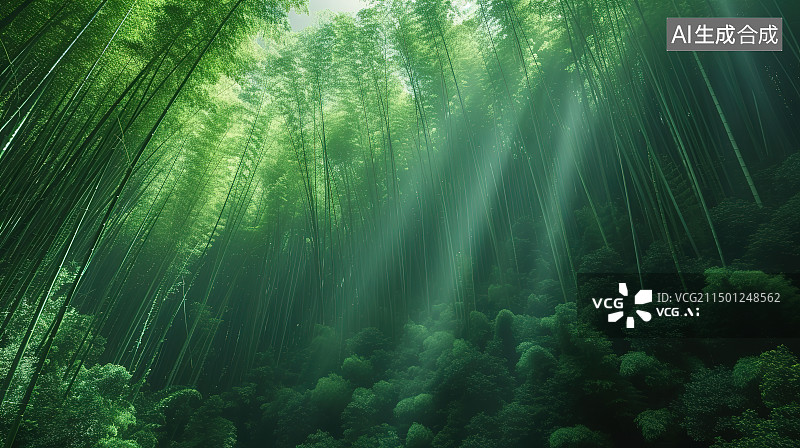 【AI数字艺术】竹林背景图片素材