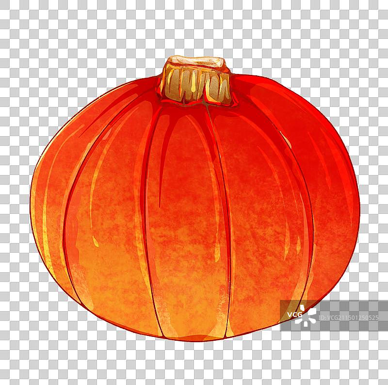 南瓜图片素材