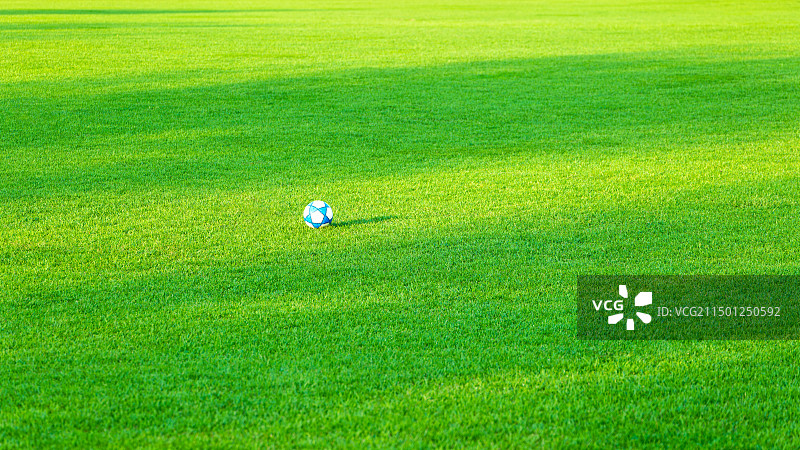 草地上的一个足球图片素材