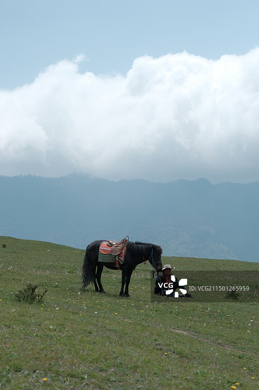 川西高原上，牧马人图片素材