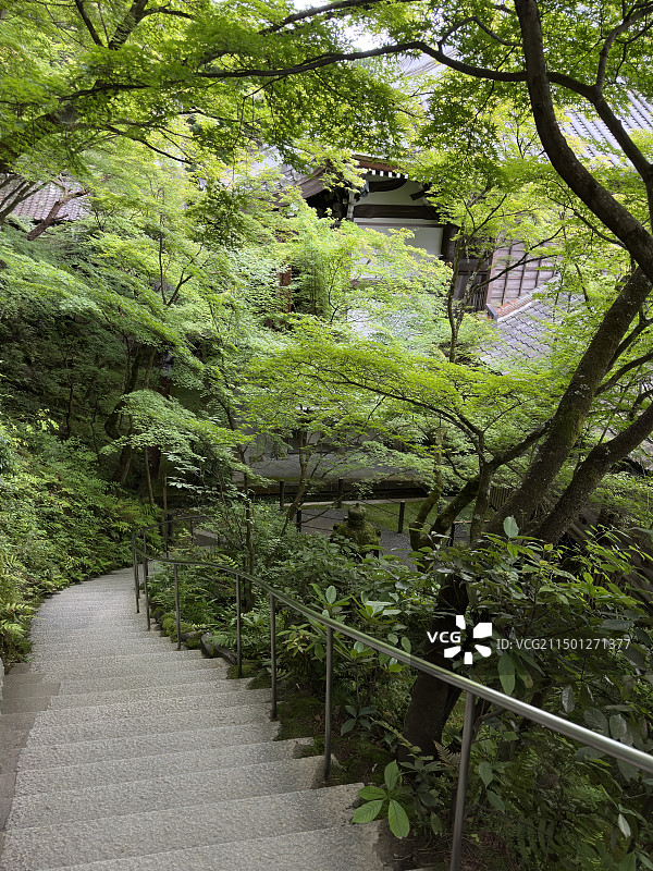 京都永观堂禅林寺图片素材