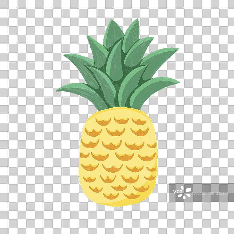 带叶子的菠萝图片素材