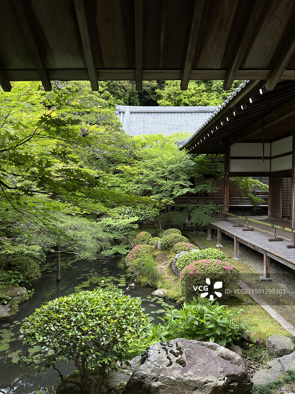京都永观堂禅林寺图片素材