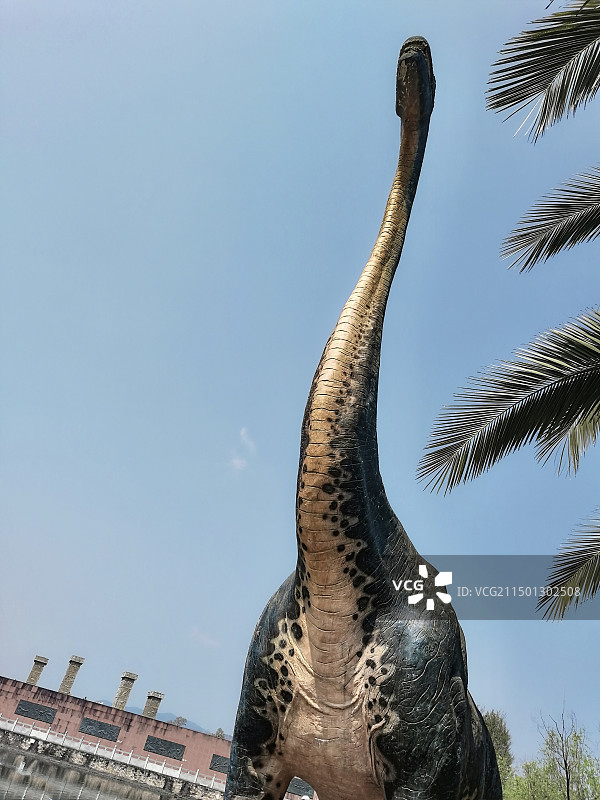 云南禄丰恐龙谷长颈巨龙图片素材