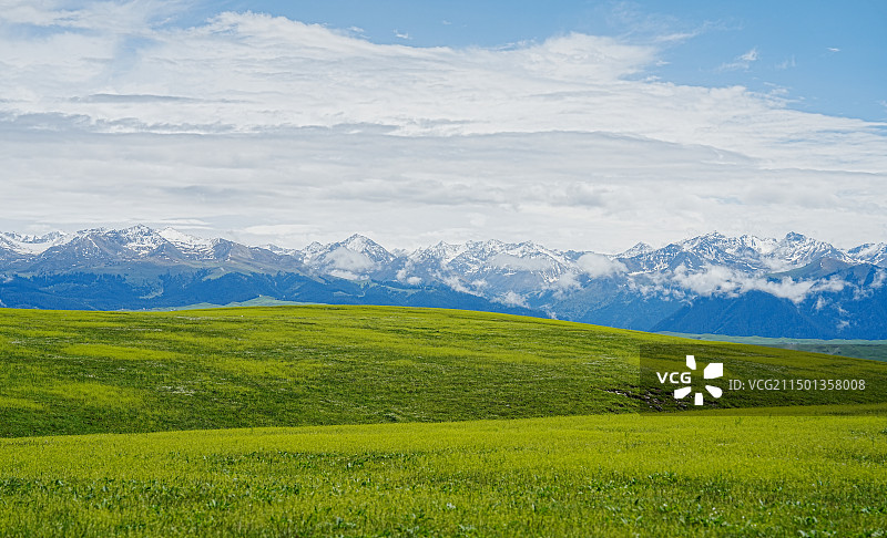 喀拉峻草原1318图片素材