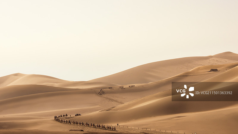 敦煌丝绸之路上的驼队图片素材