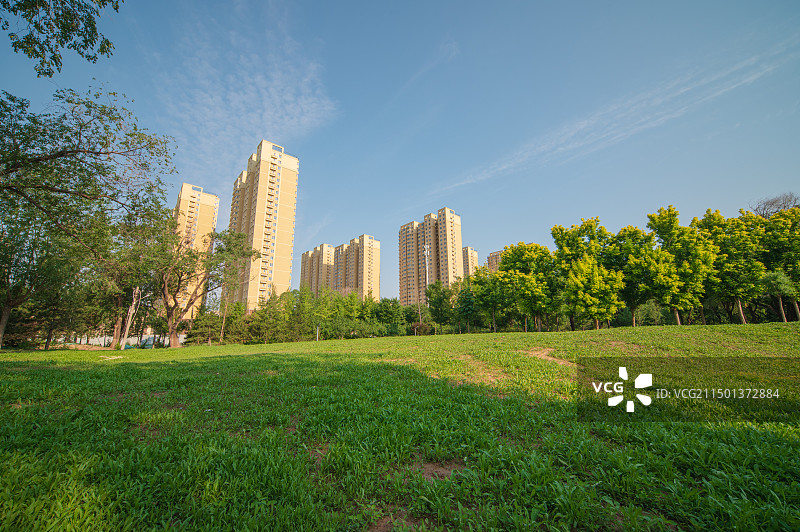 楼房与公园绿地图片素材