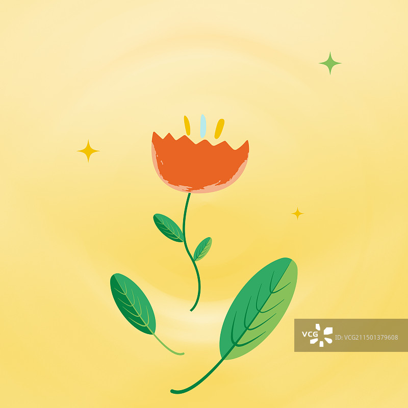 橙色花朵，模糊背景图片素材