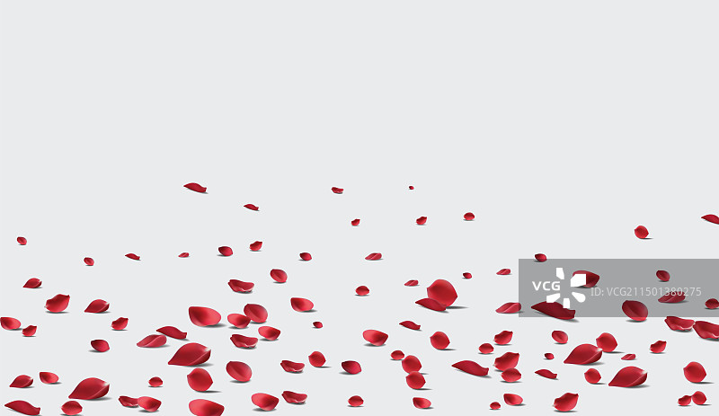飘落的红色玫瑰花瓣图片素材