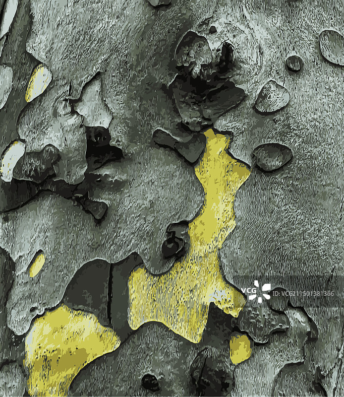 树皮纹理图片素材