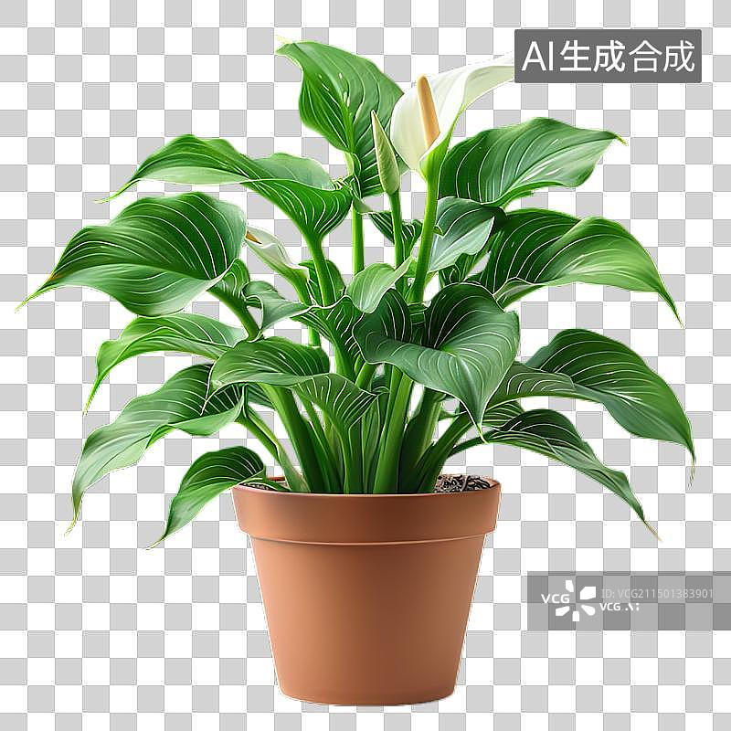 【AI数字艺术】盆景植物绿植图片素材