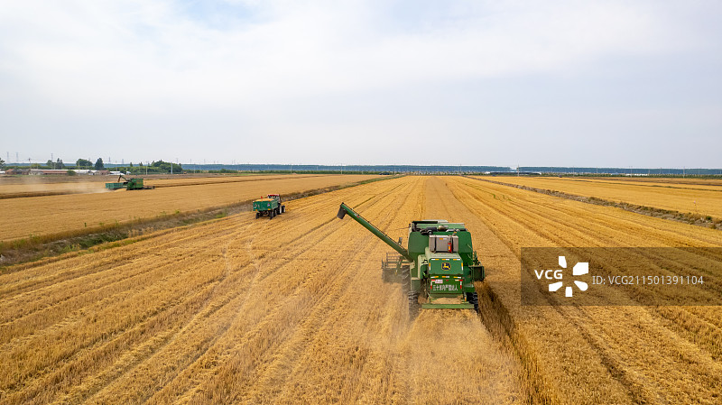 收割收小麦图片素材