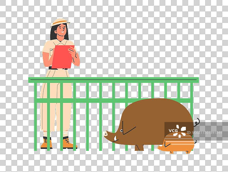 动物学家研究野猪图片素材