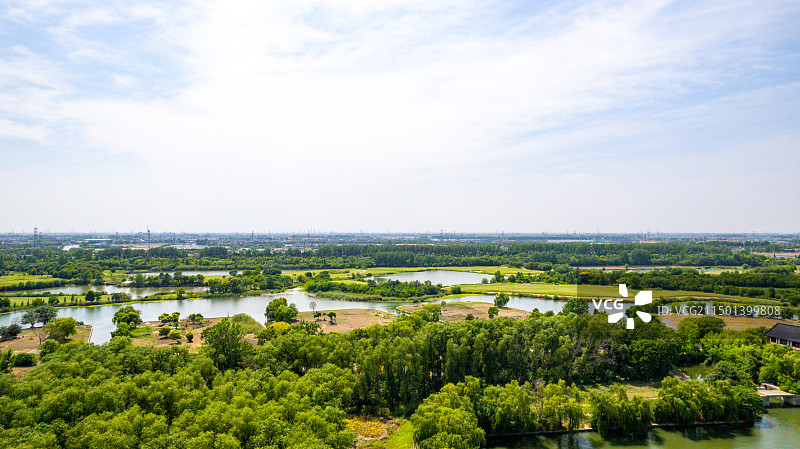 溱湖国家湿地公园图片素材