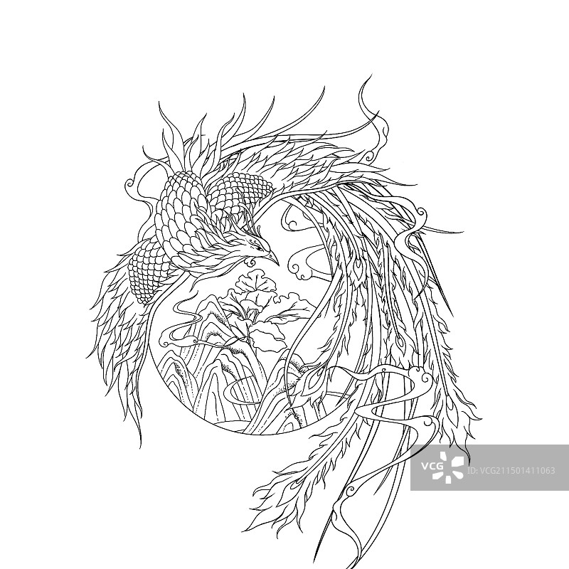 凤凰线稿设计图片素材
