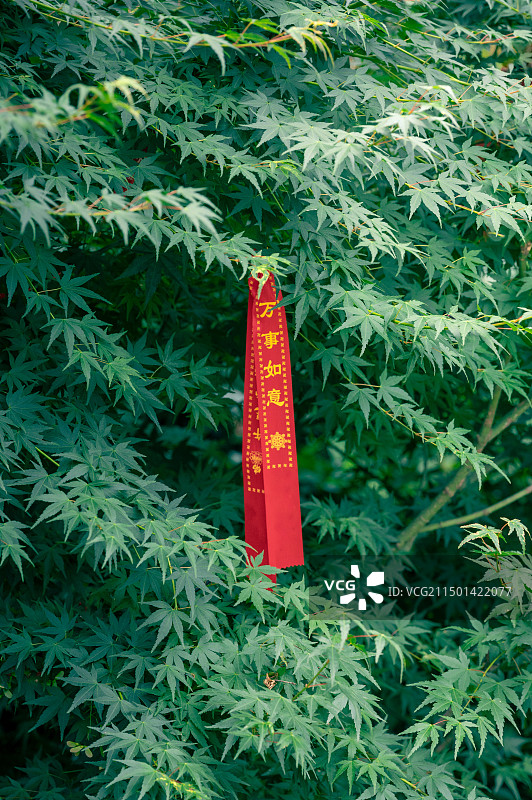 绿叶中的祈福丝带图片素材