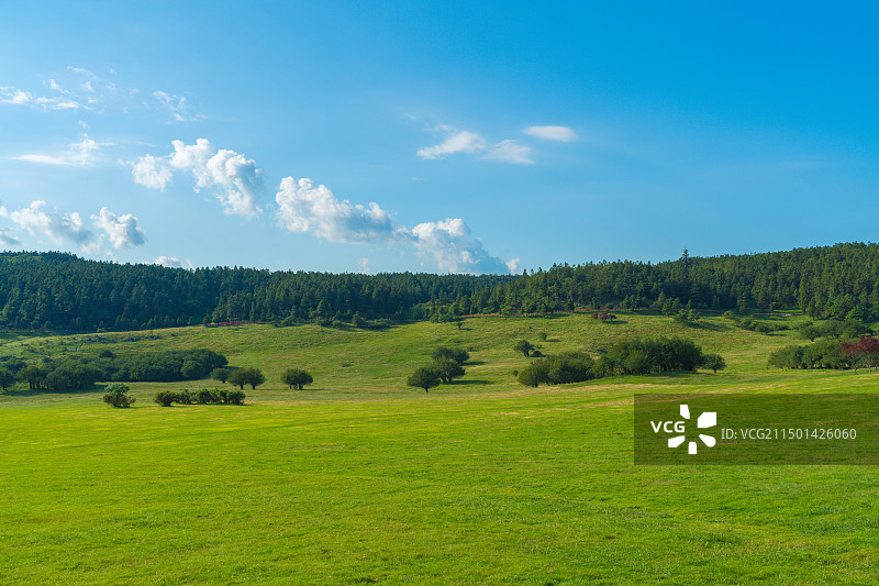 蓝天白云下的草原牧场风光图片素材