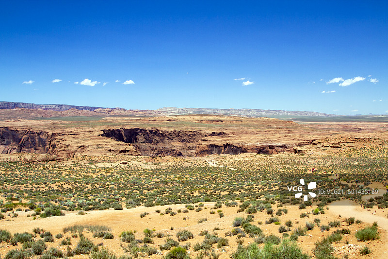 美国亚利桑那州沙漠中的绿洲图片素材