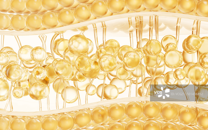 皮肤细胞与金色透明球体三维渲染图片素材