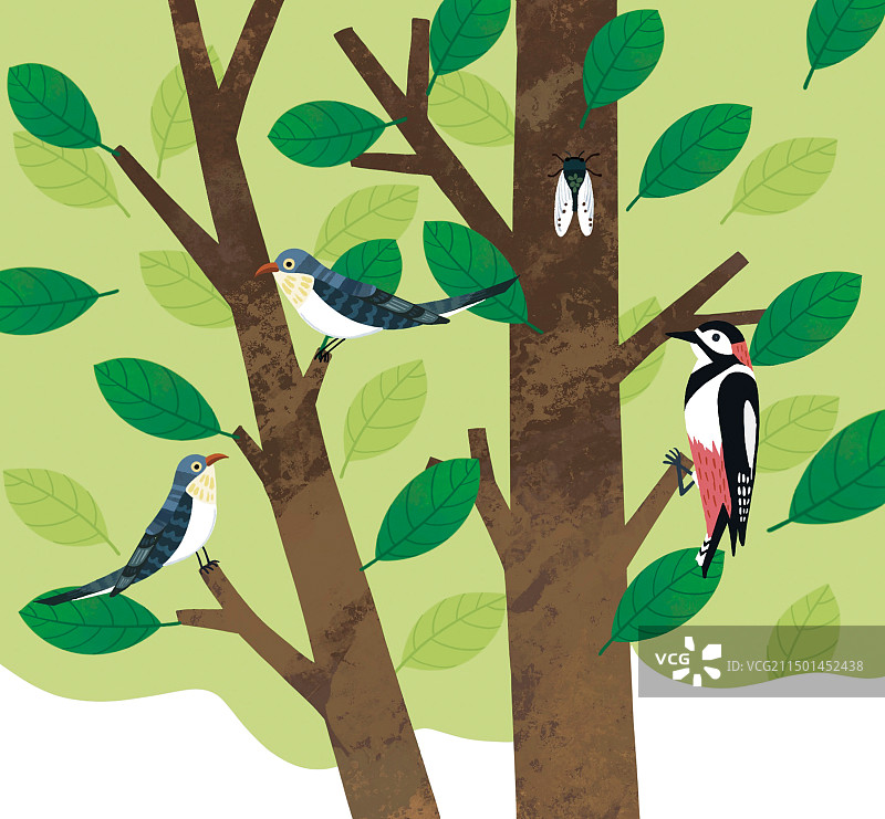 彩色卡通插画动物松鼠小鸟鸟妈妈熊猫牛群兔子鹿啄木鸟小鸡鸡妈妈鹅羊群兔子老鹰鹤插图扁平风图片素材