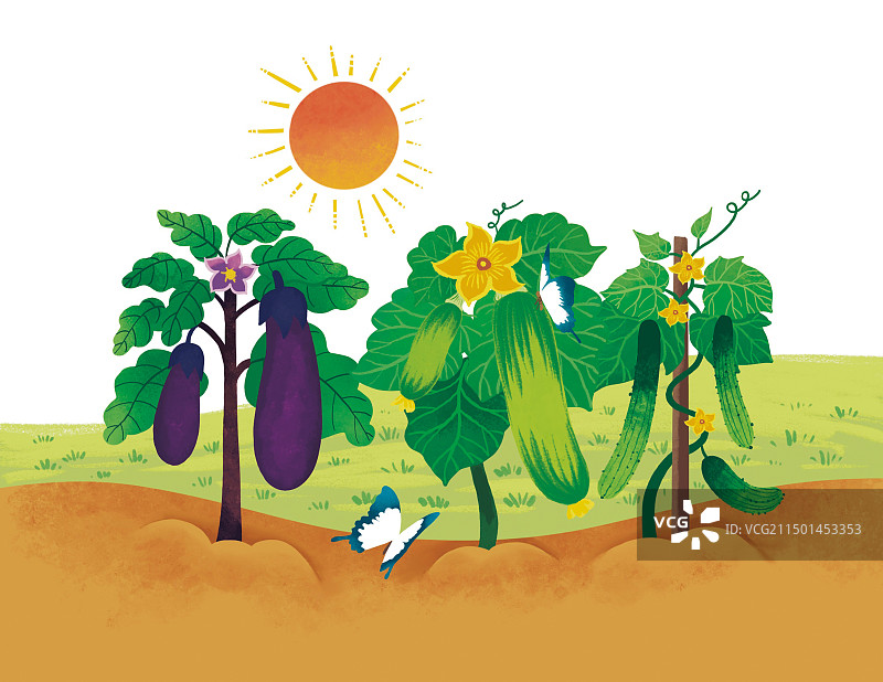 彩色 卡通插画 儿童男孩孩子童年乡村生活小狗田野树木房子文学作品蔬菜种植配图插图扁平风图片素材