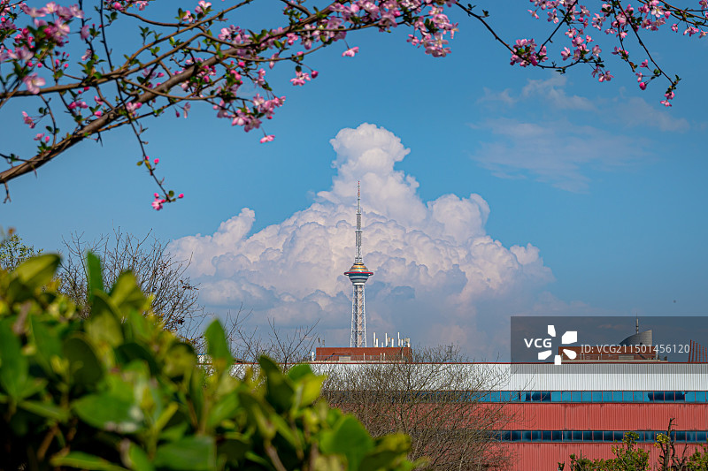 远眺神农塔.图片素材