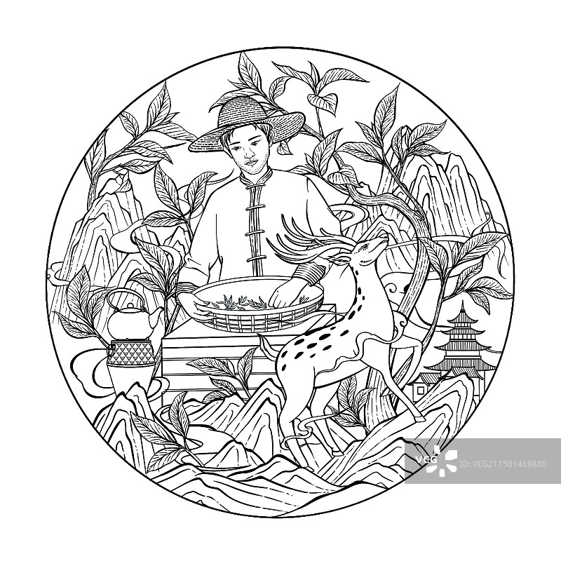 茶叶线稿插画图片素材