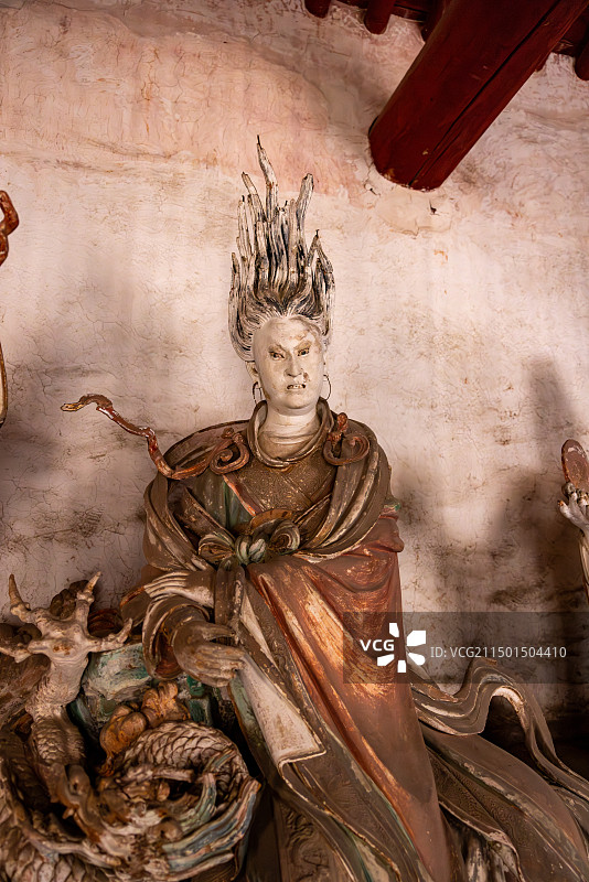 亢金龙图片素材