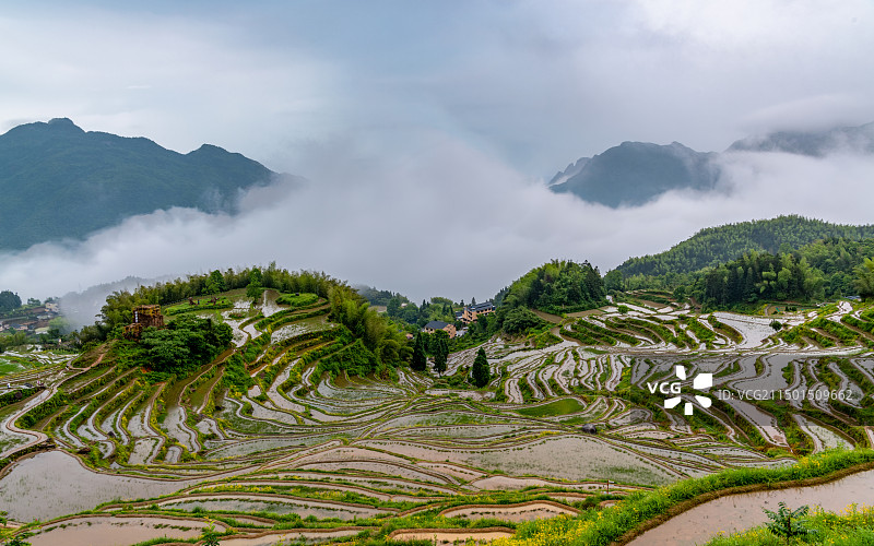 云和梯田图片素材