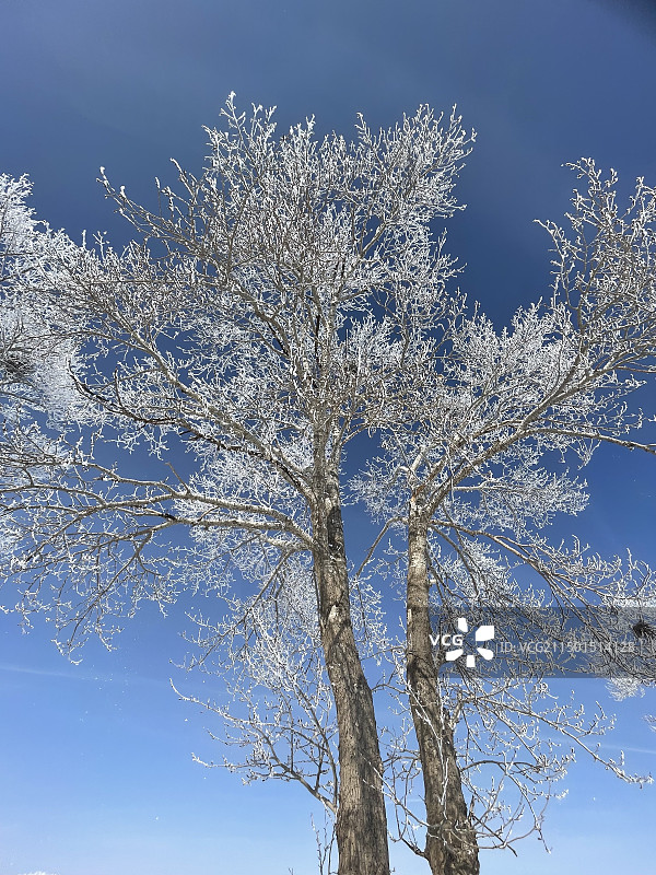 冬天雾凇冰雪景观图片素材