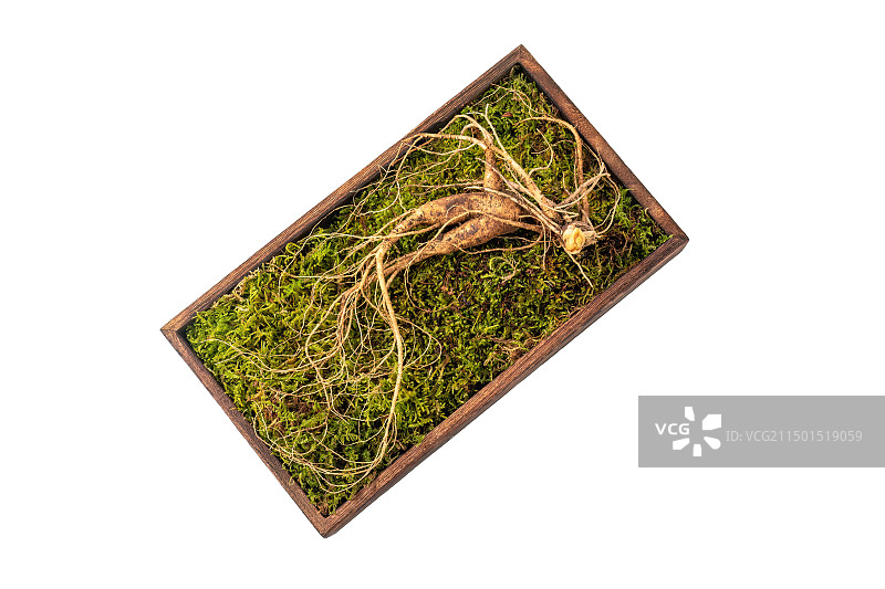 白底美食食材，木盒装长白山野人参图片素材