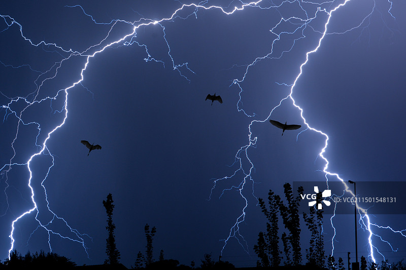 风暴中的飞翔，闪电与天空之舞图片素材