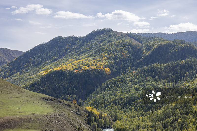 那一片秋黄图片素材