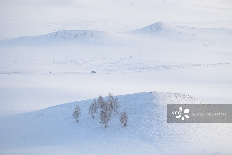 乌兰布统 林海雪原 II 航拍图片素材