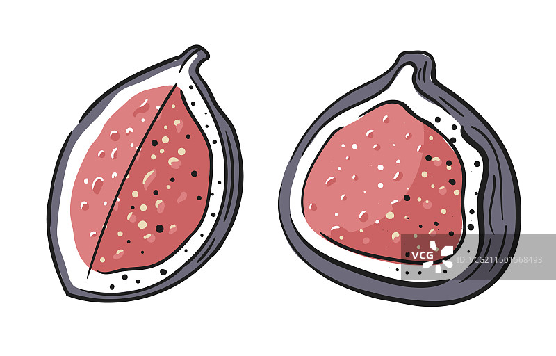 白色背景上的无花果切块图片素材