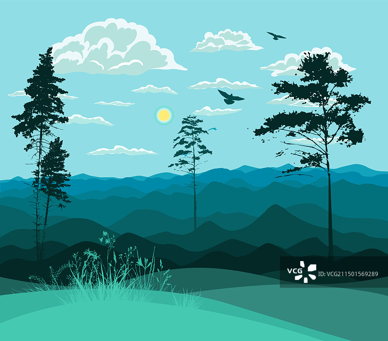 蓝调山丘松林景观图片素材