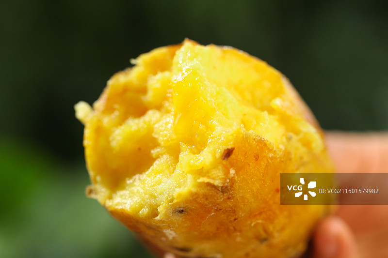 金时榴莲蜜薯图片素材