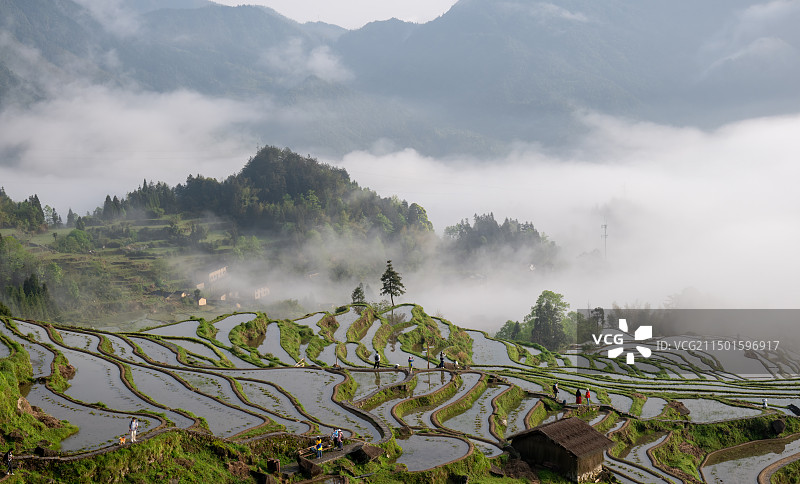 云和梯田图片素材