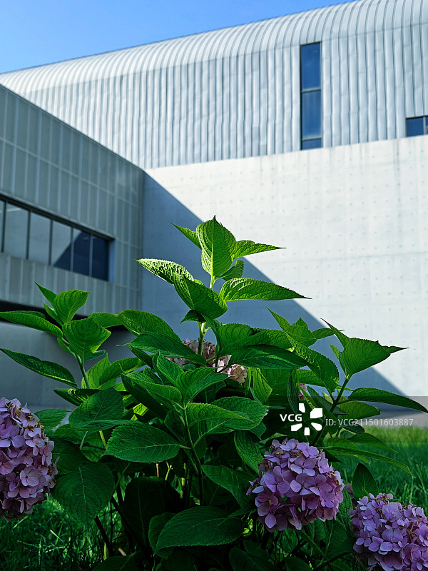 建筑与环境图片素材