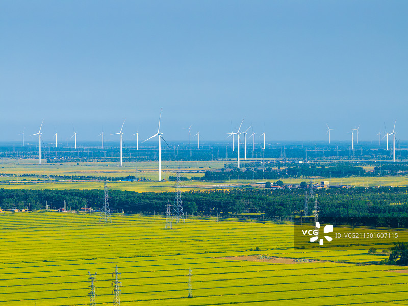 绿色田野中的风力发电图片素材